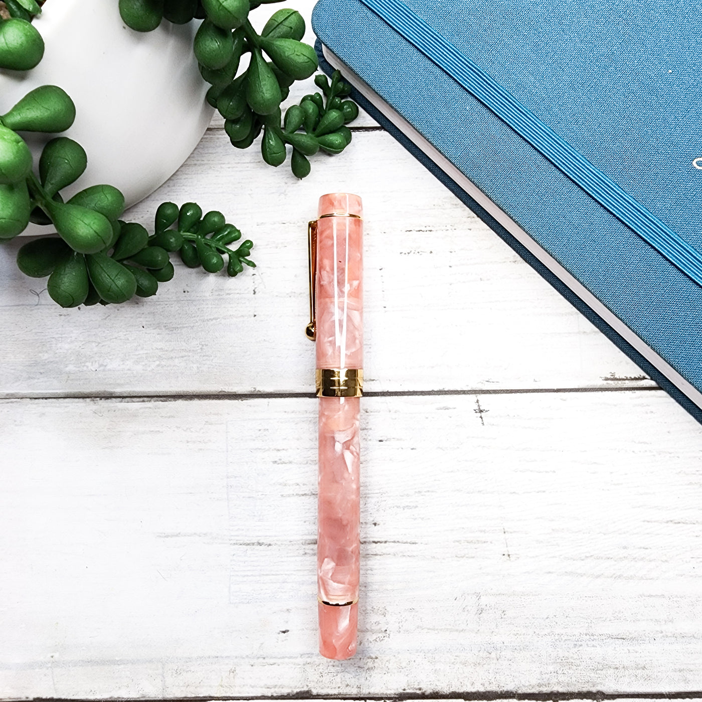 Champagne Blush : Fountain Pen