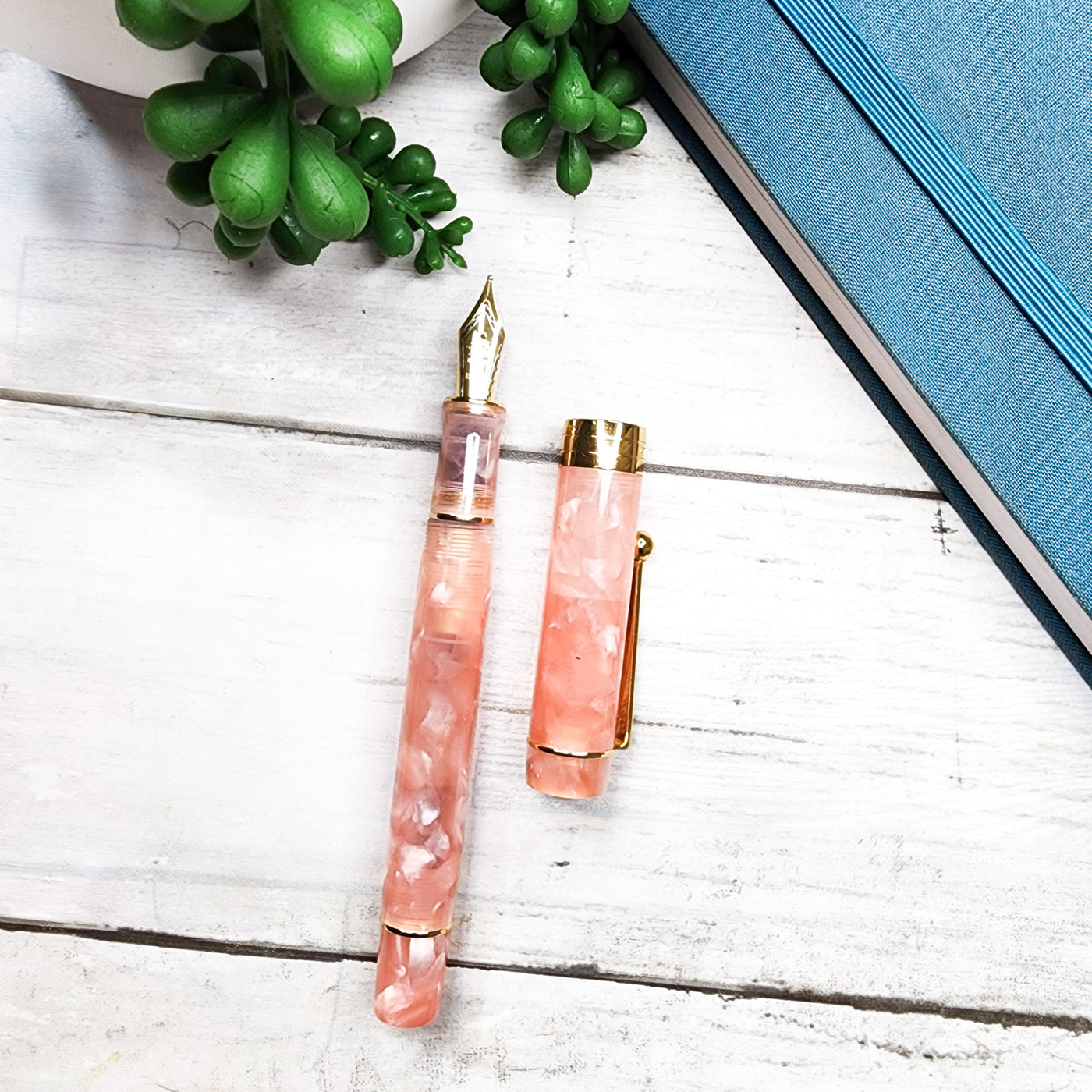 Champagne Blush : Fountain Pen