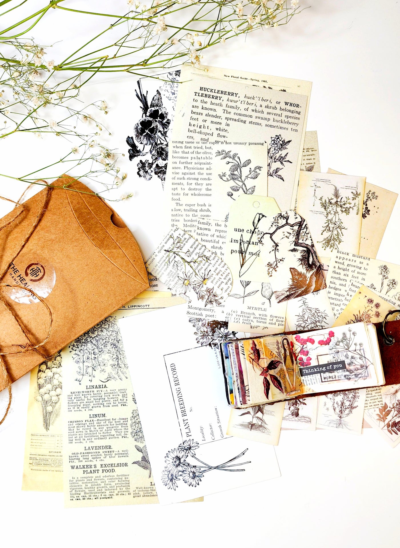 Institute Of Botany : Stickers and Paper Kit - Thehealinghandbook