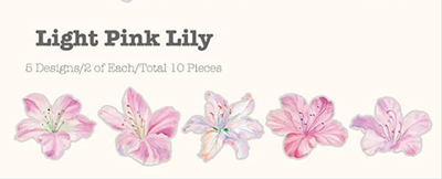 Light Pink Lilly : P.E.T Stickers - Thehealinghandbook